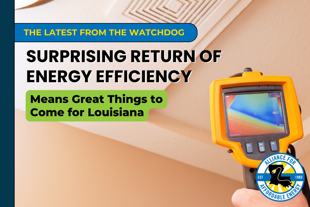 Surprising Return of Energy Efficiency Means Great Things to Come for LA