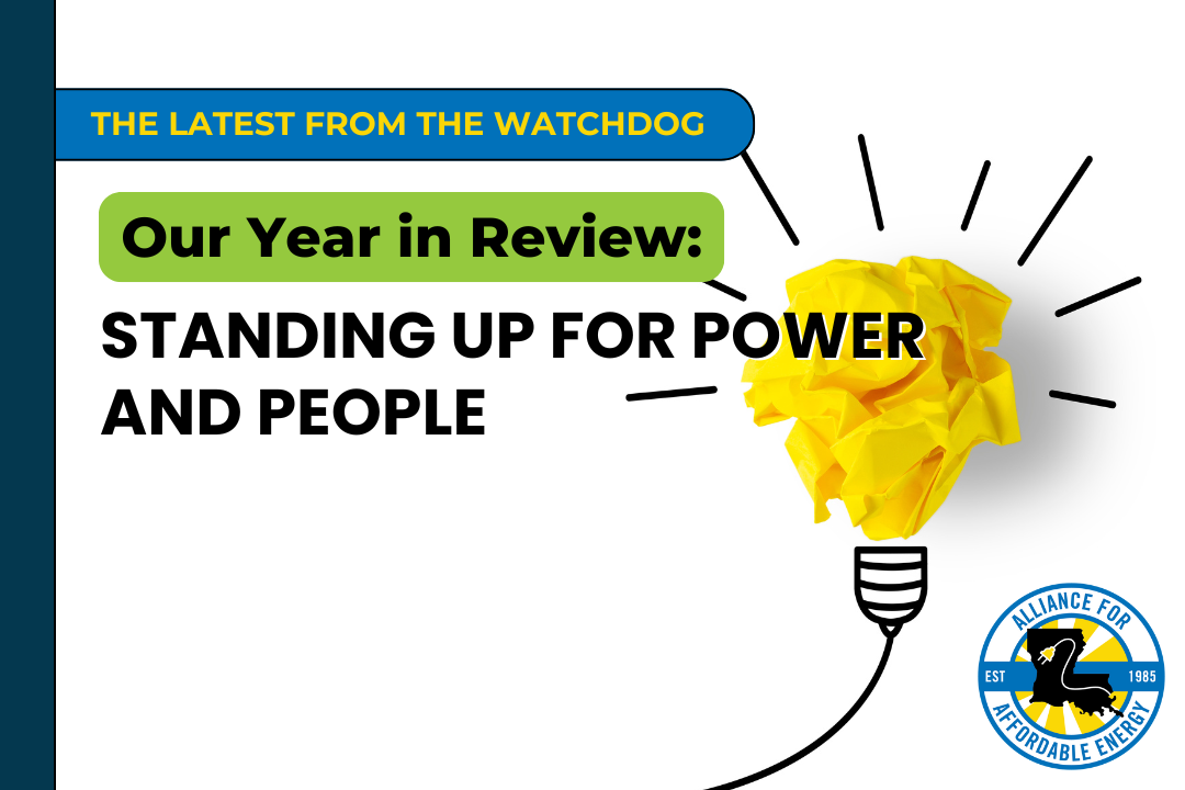 Our Year in Review: Standing Up for Power & People